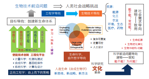 合成生物技术综述 科学视点