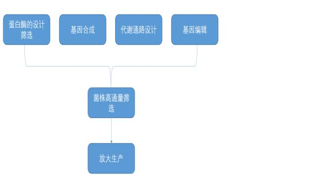 合成生物技术综述 科学视点