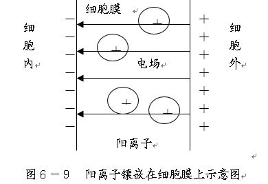 物理学原理是什么_白带是什么图片