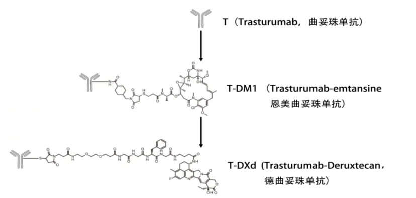 图片 7.png