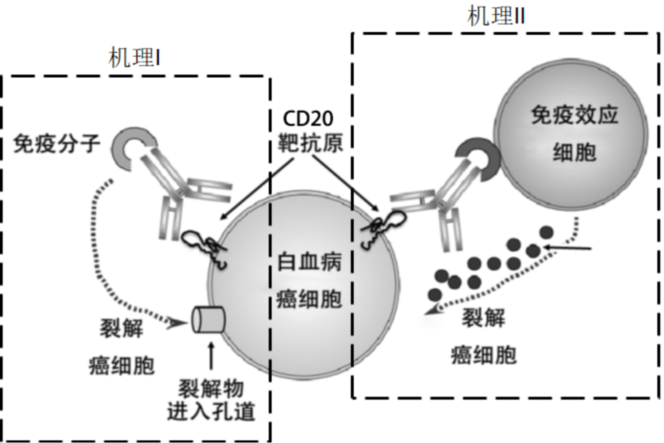 图片 4.png