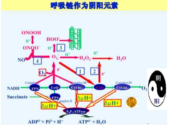 图片 9.png