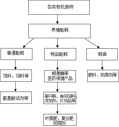 附图 蚯蚓产业链构架设想图