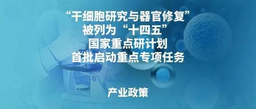 point_doc_202303131709191607.png