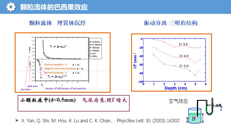 巴西坚果效应原理图片